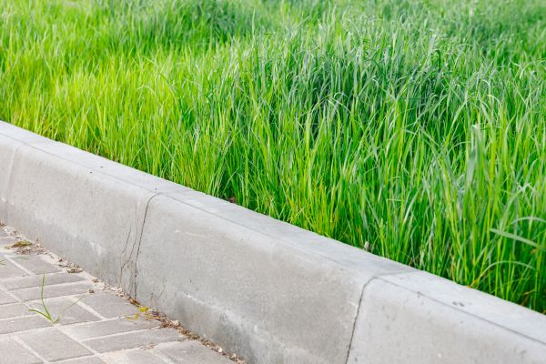 Cost of Concrete Curb Repair in Dothan