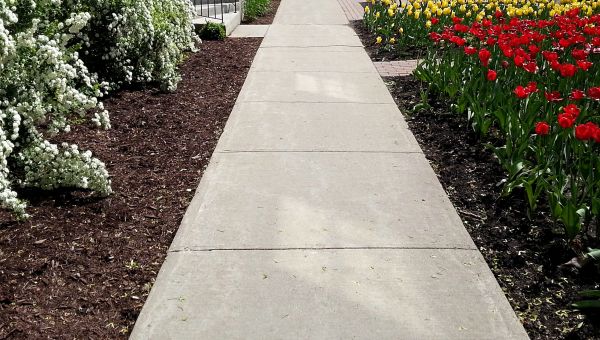 Concrete Pathway Repair in Dothan
