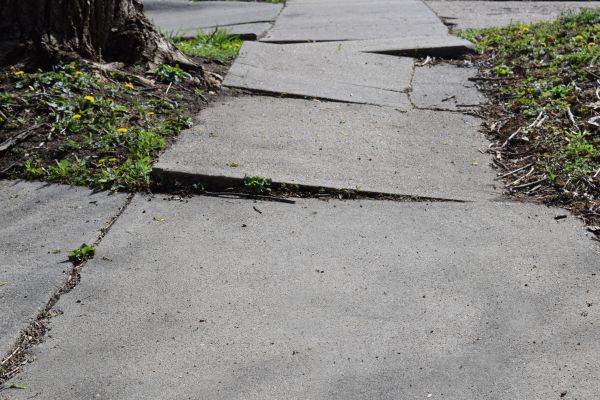 Cost of Trip Hazard Removal in Dothan